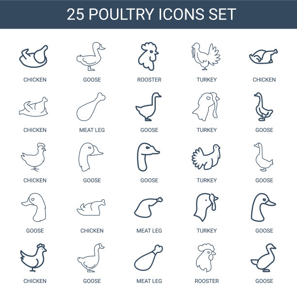 25家禽图标图片下载