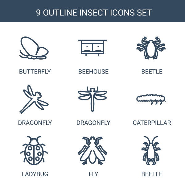昆虫的图标图片下载