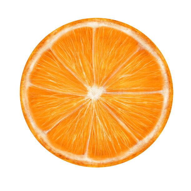 柑橘片橙色，孤立的白色背景，股票插图设计和装饰，打印，剪贴画，贴纸图片下载