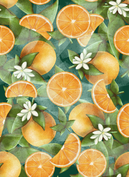 垂直模式柑橘橙色与绿色的叶子和花，在蓝色的背景，股票插图设计和装饰，打印，模板，横幅图片下载