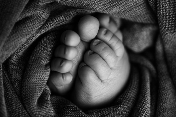 新生儿腿的照片。婴儿脚覆盖羊毛孤立的背景。新生儿的小脚在软选择焦点。脚底的黑白图像。图片下载