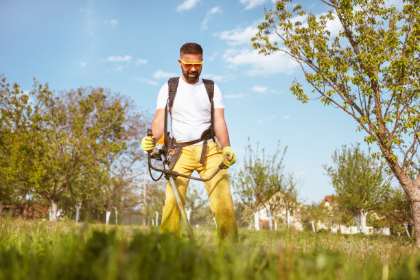 一个人用汽油修剪机割厚草图片下载