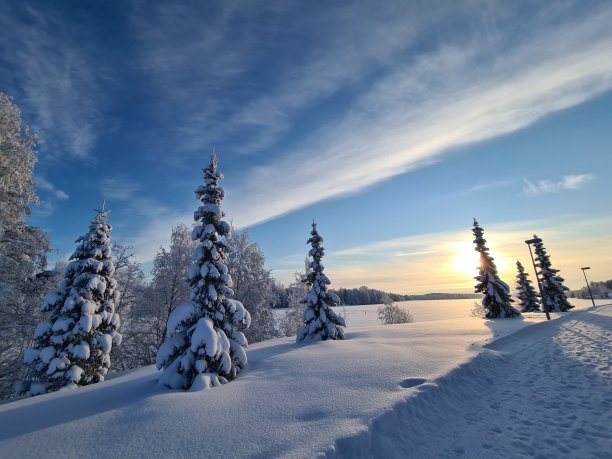 这是萨沃尼亚北部寒冷的一天图片下载