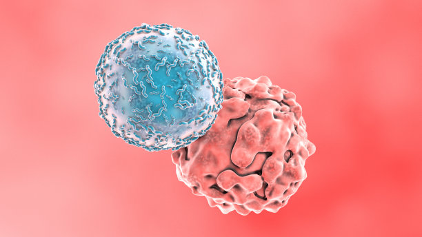 t细胞攻击癌细胞图片下载