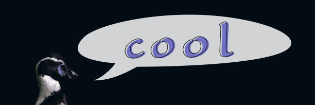 企鹅和很酷的角色。图片下载