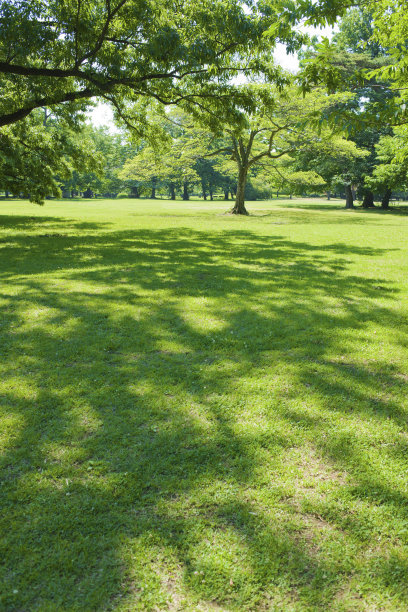 园林树阴图片下载