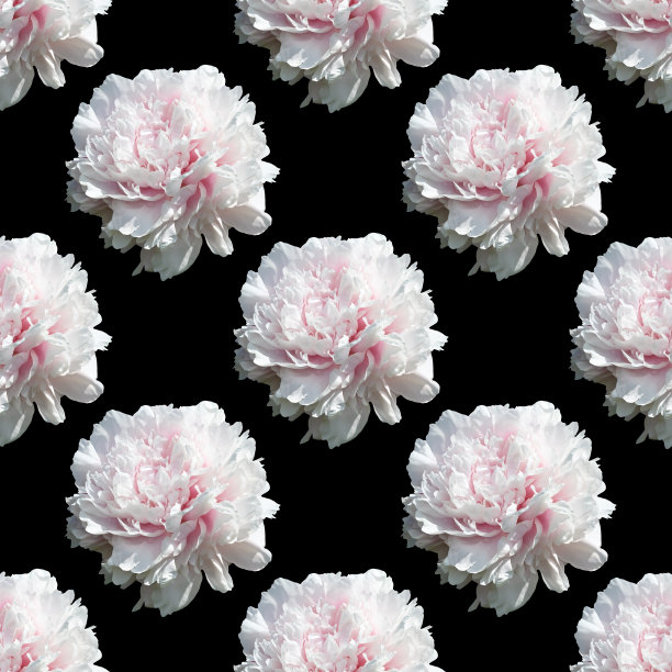 花的背景。牡丹无缝图案图片下载