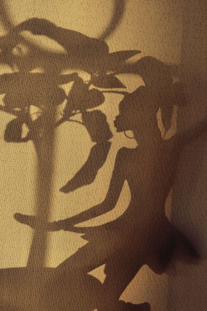 舞女的影子剪影图片下载