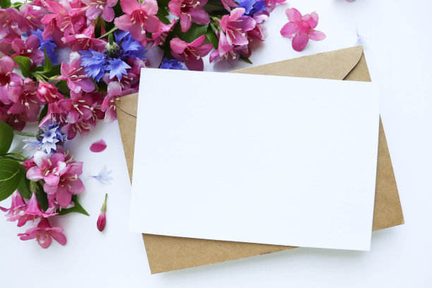 花框架由粉红色的花，信封和空白的文字图片下载