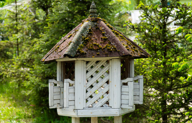 褐色屋顶长满苔藓的白宫。图片下载