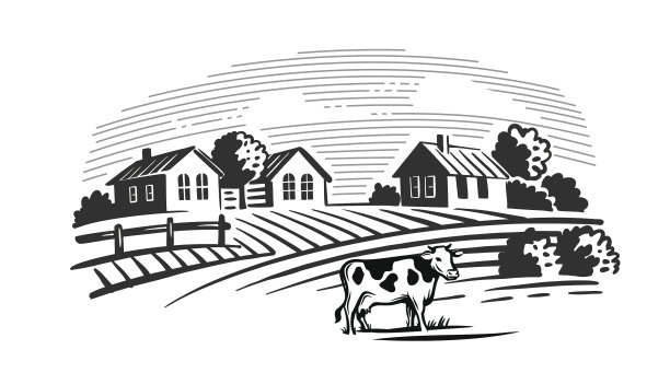 奶牛在后台农场吃草图片下载