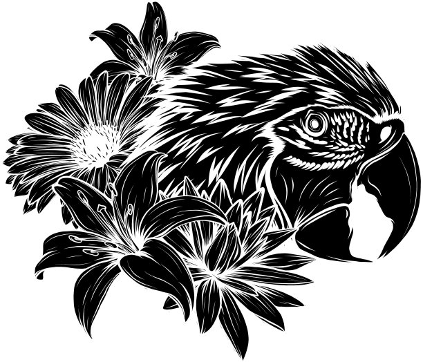 鲜艳的鹦鹉在有热带花朵的树枝上图片下载