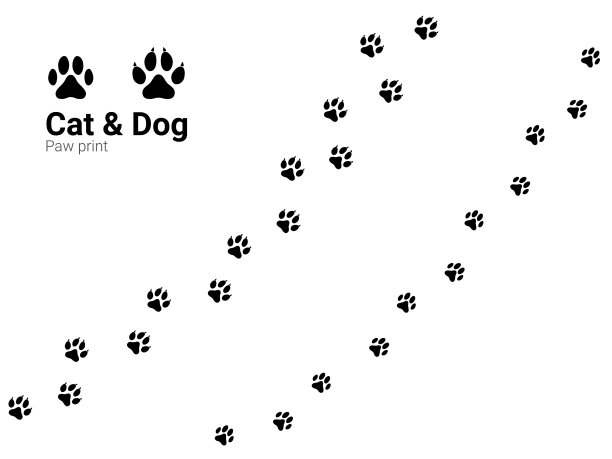 猫和狗爪印宠物或动物爪迹图片下载