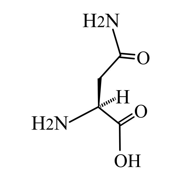 天冬酰胺是一种氨基酸化学分子图片下载