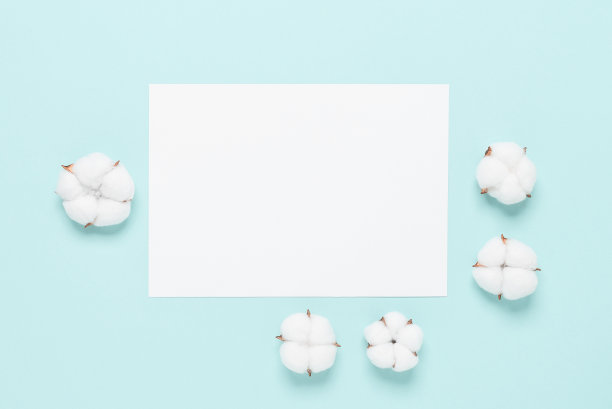 婚礼卡片模型与棉花在柔和的蓝色背景。俯视图，平放。文具夏天的静物。图片下载