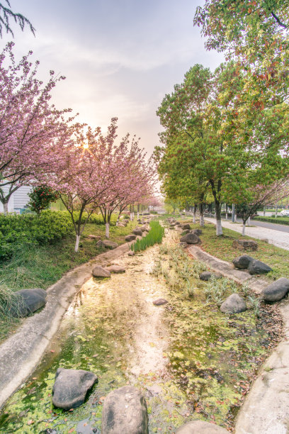 中国江苏省南京市城市建筑。图片下载