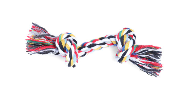 现代玩具宠物隔离在白色，俯视图图片下载