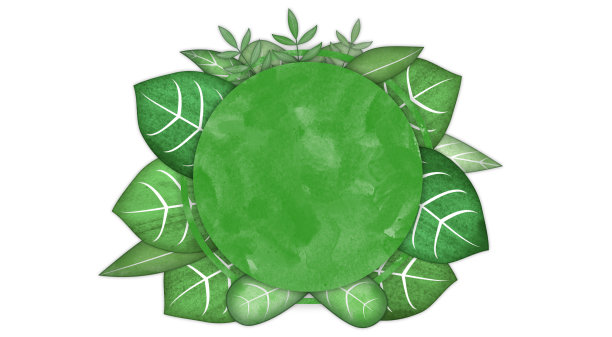 模板与夏季树叶的框架风格化为一幅画图片下载