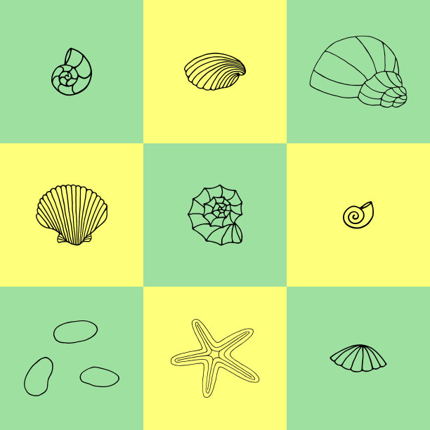 矢量插图与贝壳孤立的正方形。图片下载