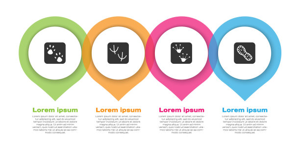 设置爪印，鸽子爪印，青蛙和人的脚印鞋。业务信息模板。向量图片下载