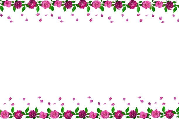 白色背景上的粉红玫瑰框架。网页设计海报，礼品卡，情人节，婚礼，生日，国际妇女节，3月8日，母亲节。图片下载