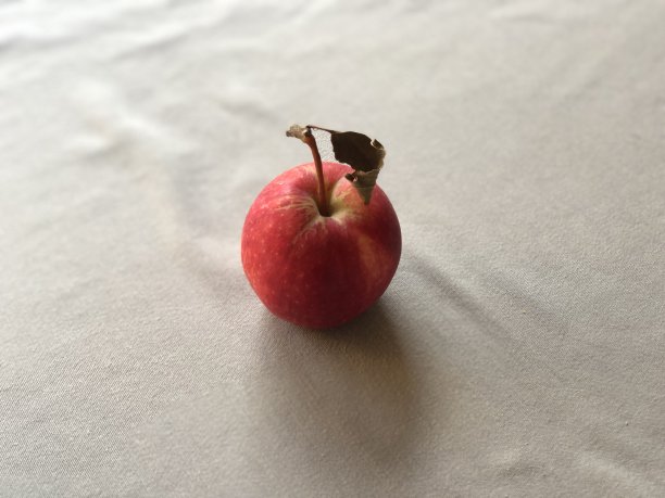 皇家庆典在桌上图片下载