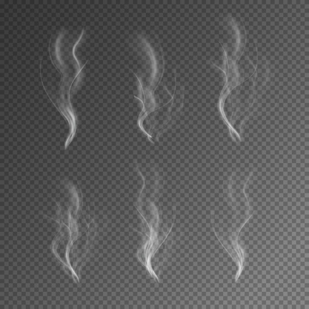 在黑色透明背景上的自然烟雾或雾效果图片下载