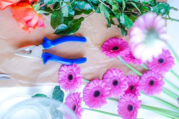 餐桌上的装饰。剪刀、花瓶和花图片下载