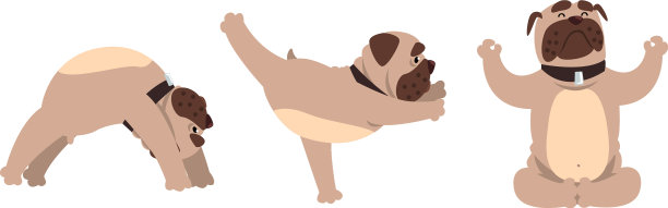 可爱搞笑狗做瑜伽设置搞笑斗牛犬宠物图片下载