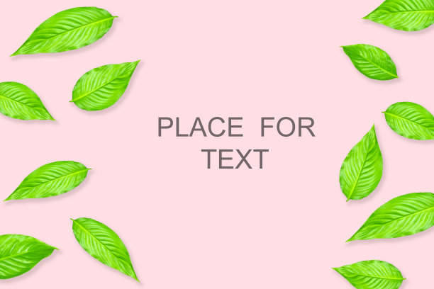 创意的布局，从绿色的树叶在明亮的背景。С等温泉сe图片下载