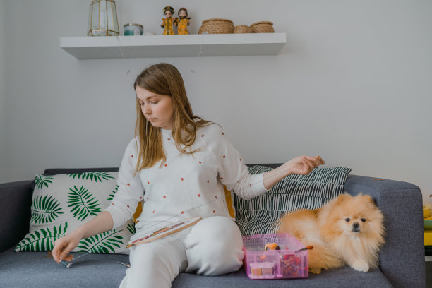 妇女与狗刺绣现代在家图片下载