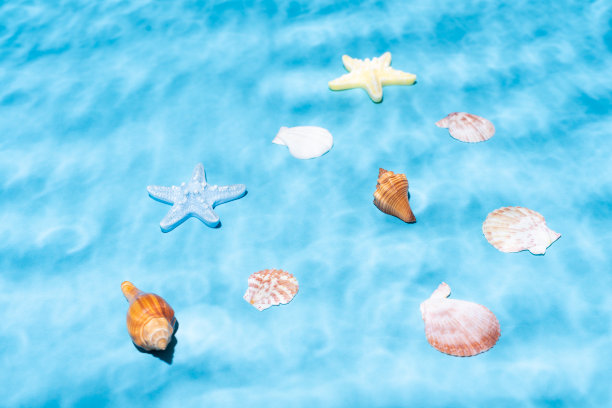 夏天的背景图片下载