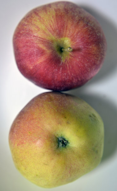 两个苹果图片下载