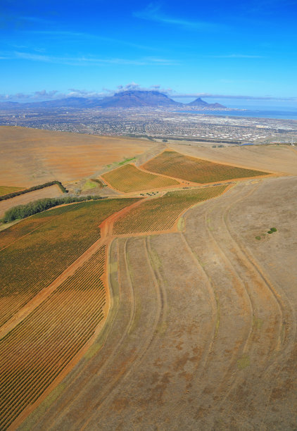 马姆斯伯里附近的农业用地鸟瞰图，以桌山为背景，西开普省图片下载