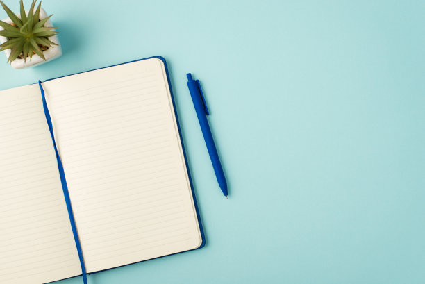 俯视图照片打开蓝色记事本钢笔和植物在孤立的淡色蓝色背景与空白图片下载