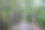 美丽的一条长长的路在夏天的一天与树木图片下载