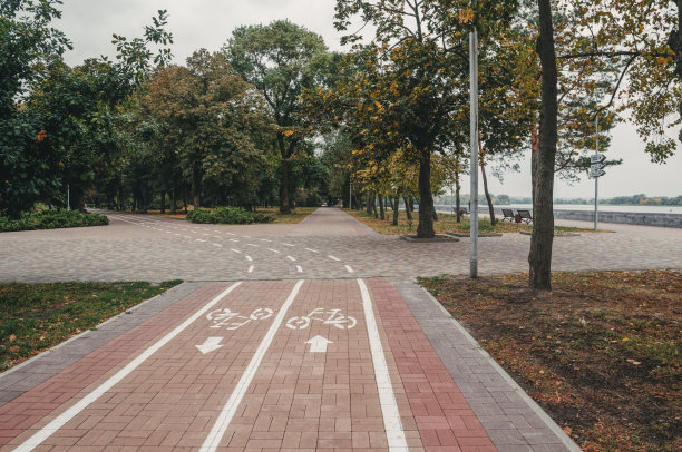 有一条自行车道和一个风景如画的秋天公园的小巷图片下载