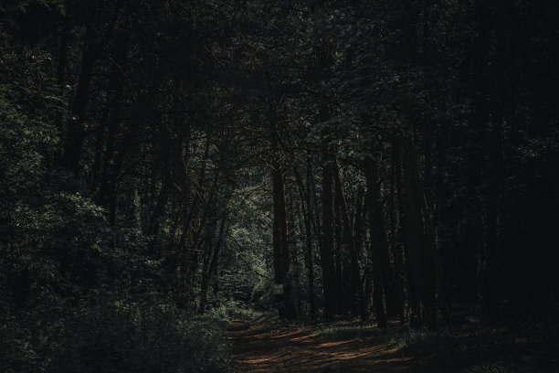 禁止越界!图片下载