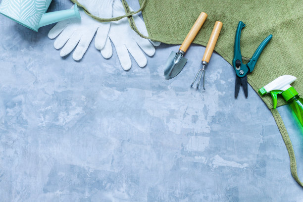 在混凝土灰色背景上的园艺工具。图片下载