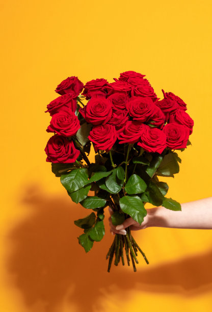 女孩手里拿着一束鲜红的玫瑰，她很惊讶。这张脸的焦距模糊不清。黄色背景。有选择性的重点。图片下载