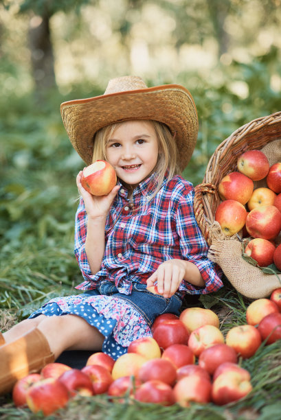 苹果园里的苹果女孩。美丽的女孩在果园里吃有机苹果。收获的概念。花园，幼童吃水果在秋天收获。摘苹果图片下载