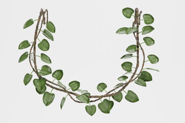 藤本植物逼真的3D渲染图片下载