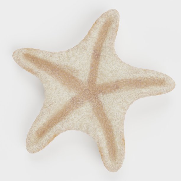 巧克力片海星的逼真3D渲染图片下载