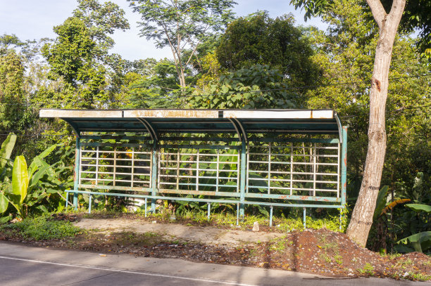 公共汽车站图片下载