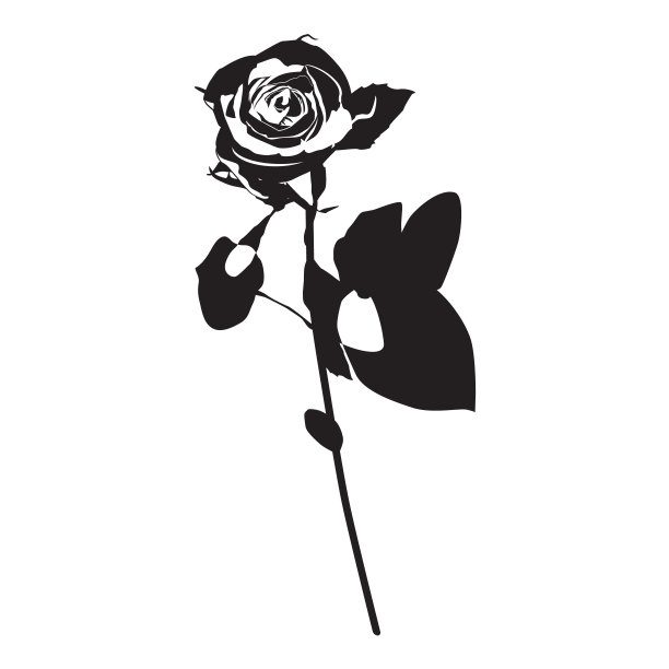 玫瑰花黑色剪影，矢量插图。鲜花盛开的花园鲜花用于贺卡，请柬，海报，横幅。图片下载