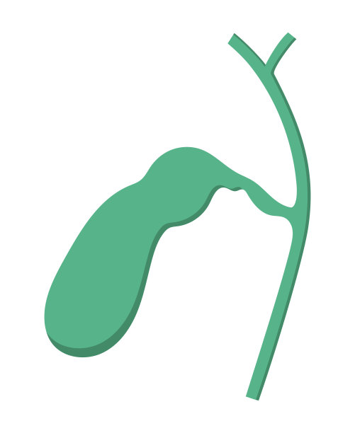 人胆囊分离载体说明。图片下载