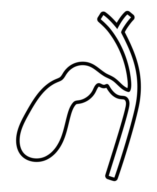 人胆囊分离载体说明。图片下载