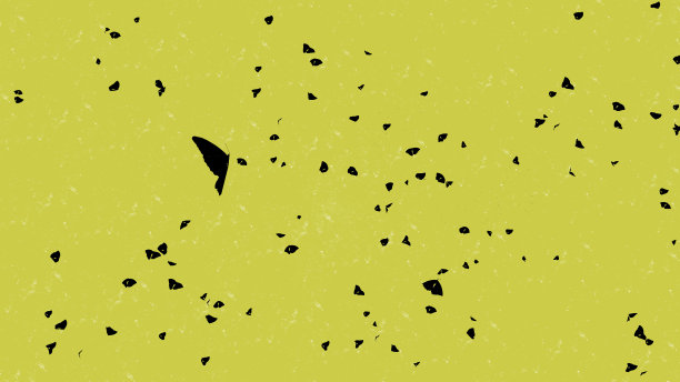 蝴蝶在黄色的背景上剪影图片下载