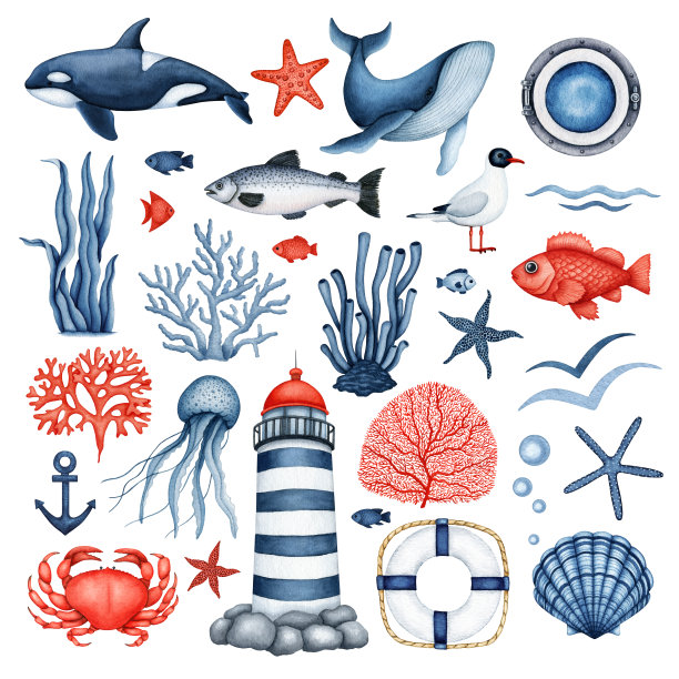 水彩海洋生命剪贴集。海上收集。采购产品水下野生动物，海藻，珊瑚，灯塔，航海船设备。手绘海洋设计元素孤立图片下载