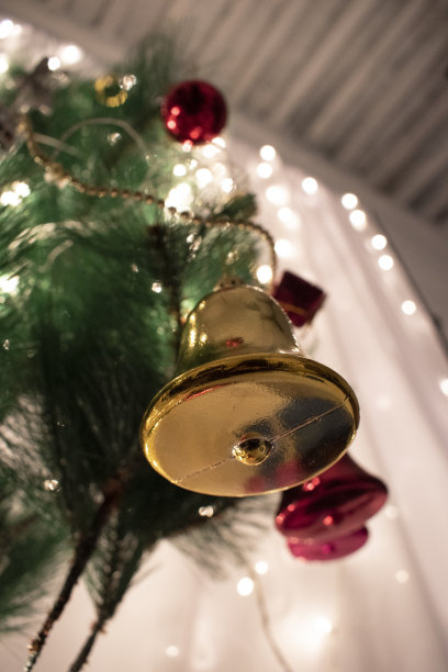 圣诞节的庆祝活动图片下载